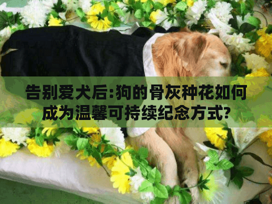 告别爱犬后:狗的骨灰种花如何成为温馨可持续纪念方式?