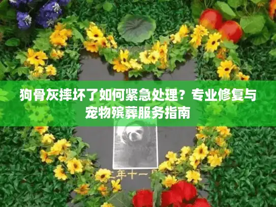 狗骨灰摔坏了如何紧急处理？专业修复与宠物殡葬服务指南