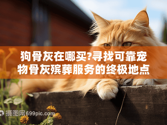 狗骨灰在哪买?寻找可靠宠物骨灰殡葬服务的终极地点指南