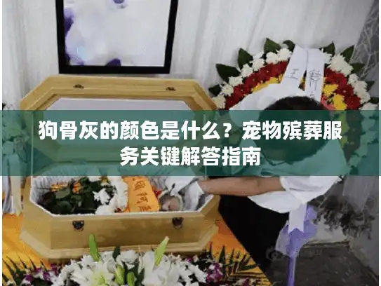 狗骨灰的颜色是什么？宠物殡葬服务关键解答指南