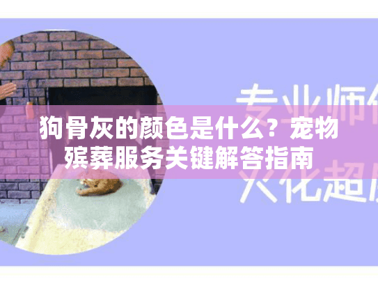 狗骨灰的颜色是什么？宠物殡葬服务关键解答指南