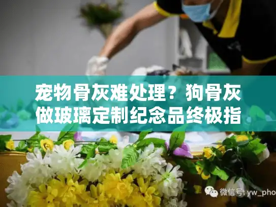 宠物骨灰难处理？狗骨灰做玻璃定制纪念品终极指南