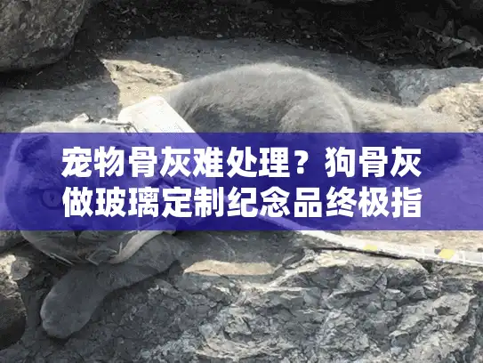 宠物骨灰难处理？狗骨灰做玻璃定制纪念品终极指南