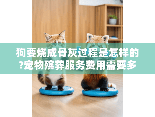 狗要烧成骨灰过程是怎样的?宠物殡葬服务费用需要多少呢?