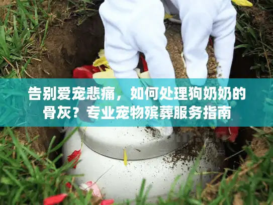 告别爱宠悲痛，如何处理狗奶奶的骨灰？专业宠物殡葬服务指南