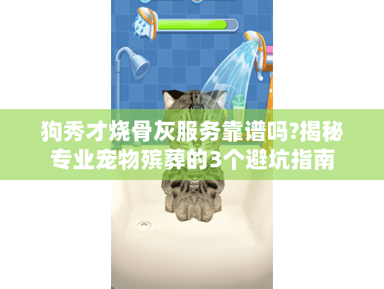 狗秀才烧骨灰服务靠谱吗?揭秘专业宠物殡葬的3个避坑指南