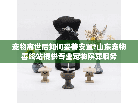 宠物离世后如何妥善安置?山东宠物善终站提供专业宠物殡葬服务