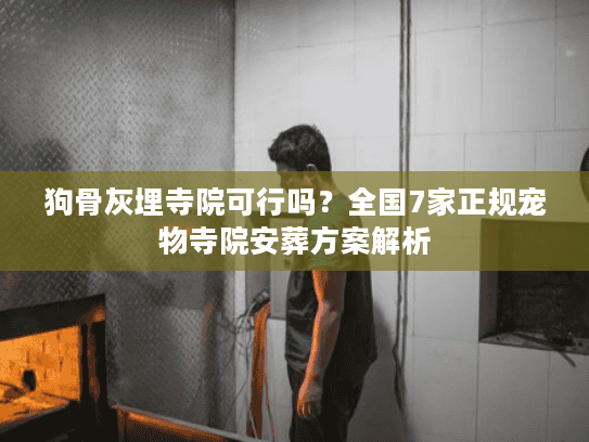 狗骨灰埋寺院可行吗？全国7家正规宠物寺院安葬方案解析