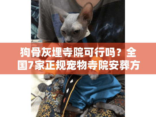 狗骨灰埋寺院可行吗？全国7家正规宠物寺院安葬方案解析