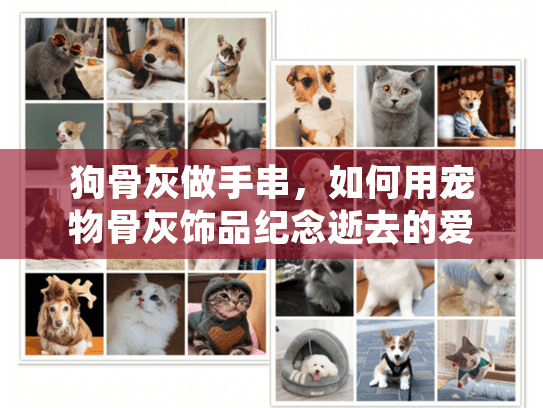 狗骨灰做手串，如何用宠物骨灰饰品纪念逝去的爱宠？