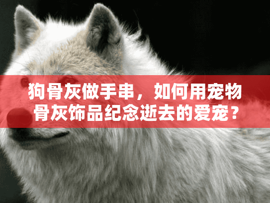 狗骨灰做手串，如何用宠物骨灰饰品纪念逝去的爱宠？