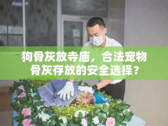 狗骨灰放寺庙,合法宠物骨灰存放的安全选择? 狗骨灰放寺庙,合法宠物骨灰存放的安全选择?