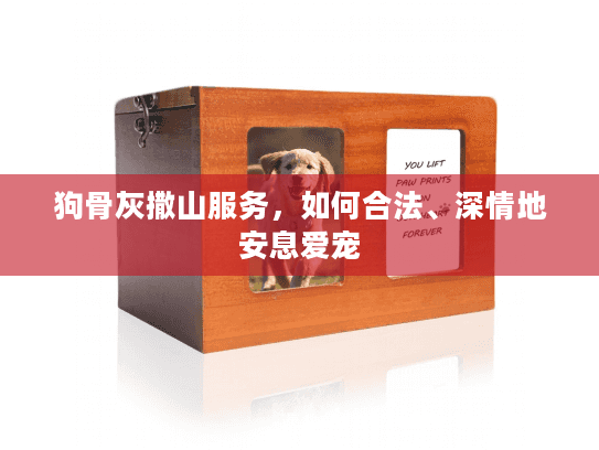 狗骨灰撒山服务，如何合法、深情地安息爱宠