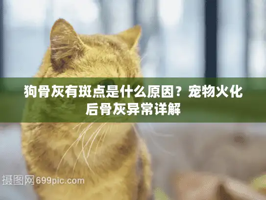 狗骨灰有斑点是什么原因？宠物火化后骨灰异常详解