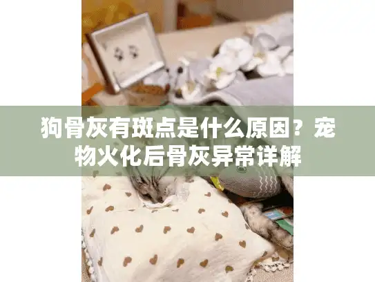 狗骨灰有斑点是什么原因？宠物火化后骨灰异常详解