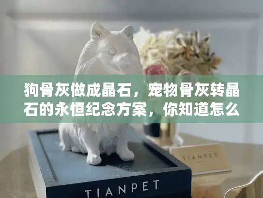 狗骨灰做成晶石,宠物骨灰转晶石的永恒纪念方案,你知道怎么做吗? 狗骨灰做成晶石,宠物骨灰转晶石的永恒纪念方案,你知道怎么做吗?