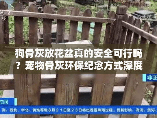 狗骨灰放花盆真的安全可行吗?宠物骨灰环保纪念方式深度解析 狗骨灰放花盆真的安全可行吗?宠物骨灰环保纪念方式深度解析