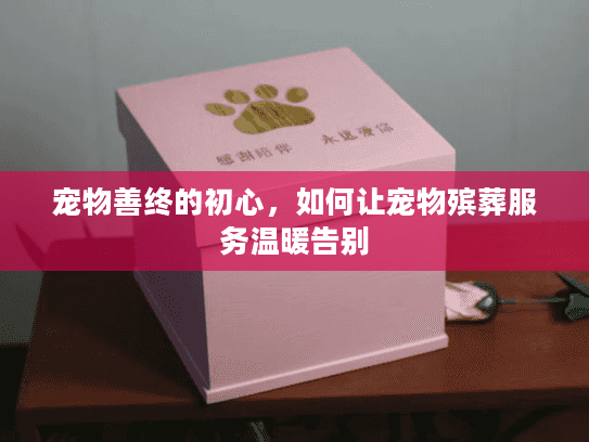 宠物善终的初心，如何让宠物殡葬服务温暖告别