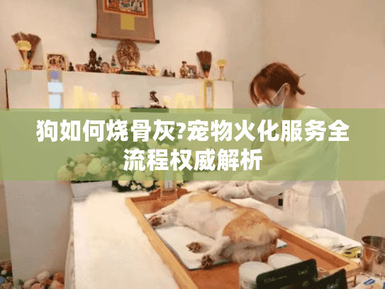 狗如何烧骨灰?宠物火化服务全流程权威解析