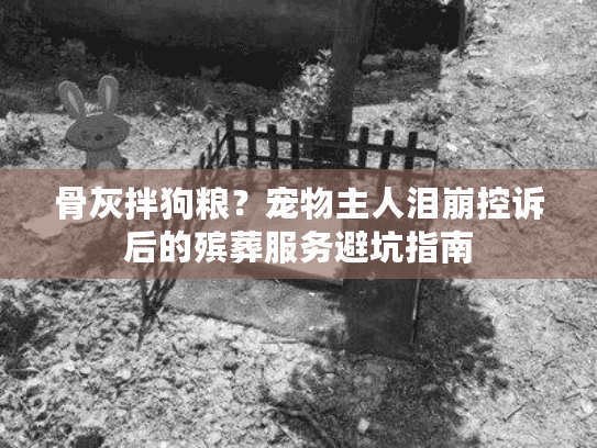 骨灰拌狗粮？宠物主人泪崩控诉后的殡葬服务避坑指南