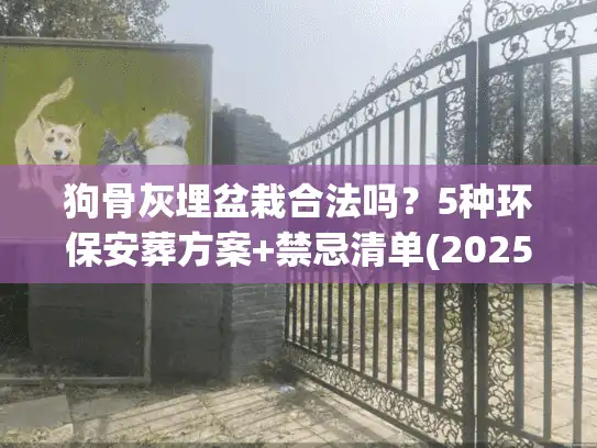 狗骨灰埋盆栽合法吗？5种环保安葬方案+禁忌清单(2025新版)