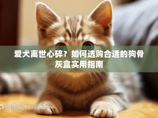 爱犬离世心碎？如何选购合适的狗骨灰盒实用指南