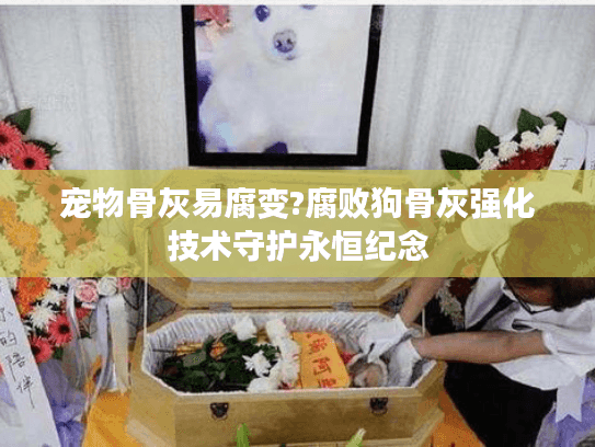 宠物骨灰易腐变?腐败狗骨灰强化技术守护永恒纪念
