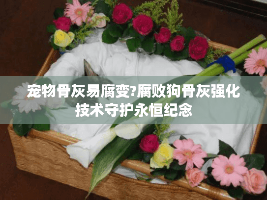 宠物骨灰易腐变?腐败狗骨灰强化技术守护永恒纪念