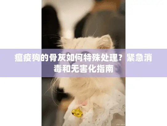 瘟疫狗的骨灰如何特殊处理?紧急消毒和无害化指南 瘟疫狗的骨灰如何特殊处理?紧急消毒和无害化指南
