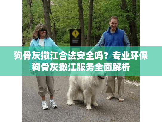 狗骨灰撒江合法安全吗？专业环保狗骨灰撒江服务全面解析