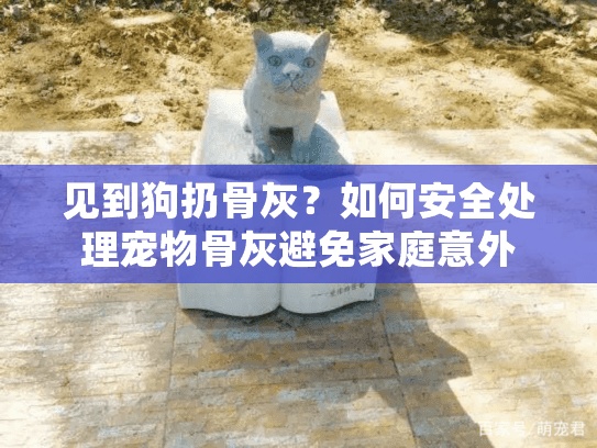 见到狗扔骨灰？如何安全处理宠物骨灰避免家庭意外