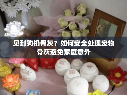 见到狗扔骨灰？如何安全处理宠物骨灰避免家庭意外