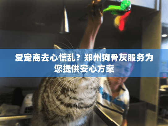 爱宠离去心慌乱？郑州狗骨灰服务为您提供安心方案