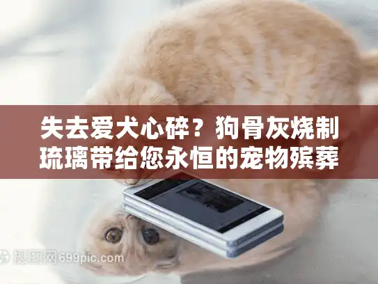 失去爱犬心碎？狗骨灰烧制琉璃带给您永恒的宠物殡葬纪念