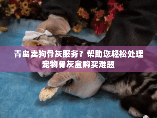 青岛卖狗骨灰服务？帮助您轻松处理宠物骨灰盒购买难题