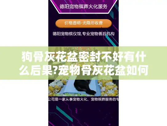 狗骨灰花盆密封不好有什么后果?宠物骨灰花盆如何保存更长久?