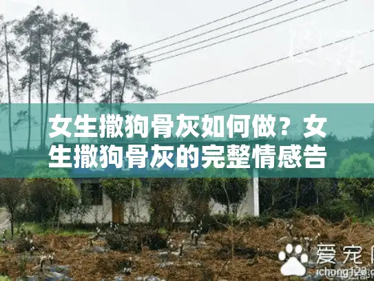 女生撒狗骨灰如何做？女生撒狗骨灰的完整情感告别指南