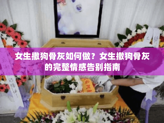女生撒狗骨灰如何做？女生撒狗骨灰的完整情感告别指南