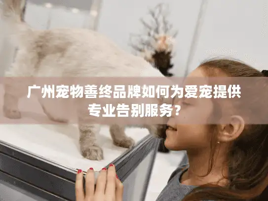 广州宠物善终品牌如何为爱宠提供专业告别服务? 广州宠物善终品牌如何为爱宠提供专业告别服务?