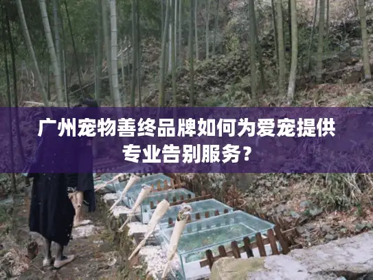 广州宠物善终品牌如何为爱宠提供专业告别服务? 广州宠物善终品牌如何为爱宠提供专业告别服务?