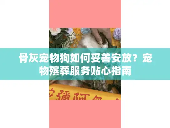 骨灰宠物狗如何妥善安放？宠物殡葬服务贴心指南