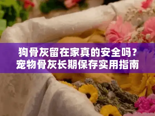 狗骨灰留在家真的安全吗？宠物骨灰长期保存实用指南