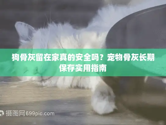 狗骨灰留在家真的安全吗？宠物骨灰长期保存实用指南