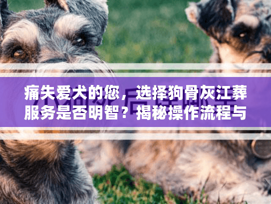 痛失爱犬的您,选择狗骨灰江葬服务是否明智?揭秘操作流程与注意事项 痛失爱犬的您,选择狗骨灰江葬服务是否明智?揭秘操作流程与注意事项