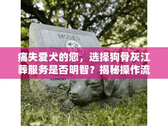 痛失爱犬的您,选择狗骨灰江葬服务是否明智?揭秘操作流程与注意事项 痛失爱犬的您,选择狗骨灰江葬服务是否明智?揭秘操作流程与注意事项