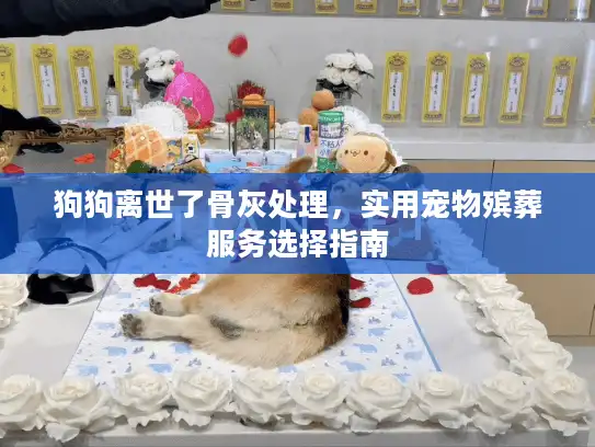 狗狗离世了骨灰处理，实用宠物殡葬服务选择指南