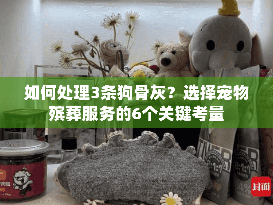 如何处理3条狗骨灰?选择宠物殡葬服务的6个关键考量 如何处理3条狗骨灰?选择宠物殡葬服务的6个关键考量