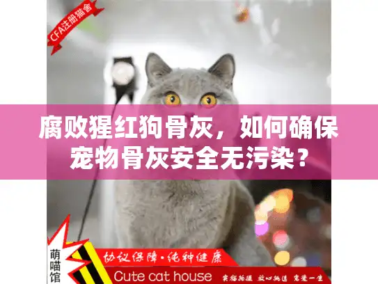 腐败猩红狗骨灰，如何确保宠物骨灰安全无污染？
