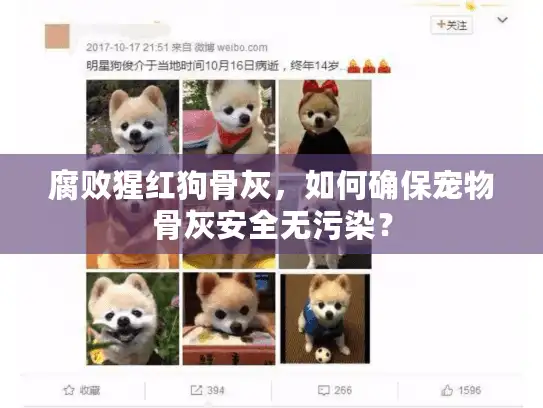 腐败猩红狗骨灰，如何确保宠物骨灰安全无污染？