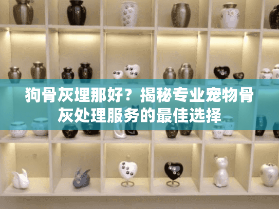 狗骨灰埋那好？揭秘专业宠物骨灰处理服务的最佳选择